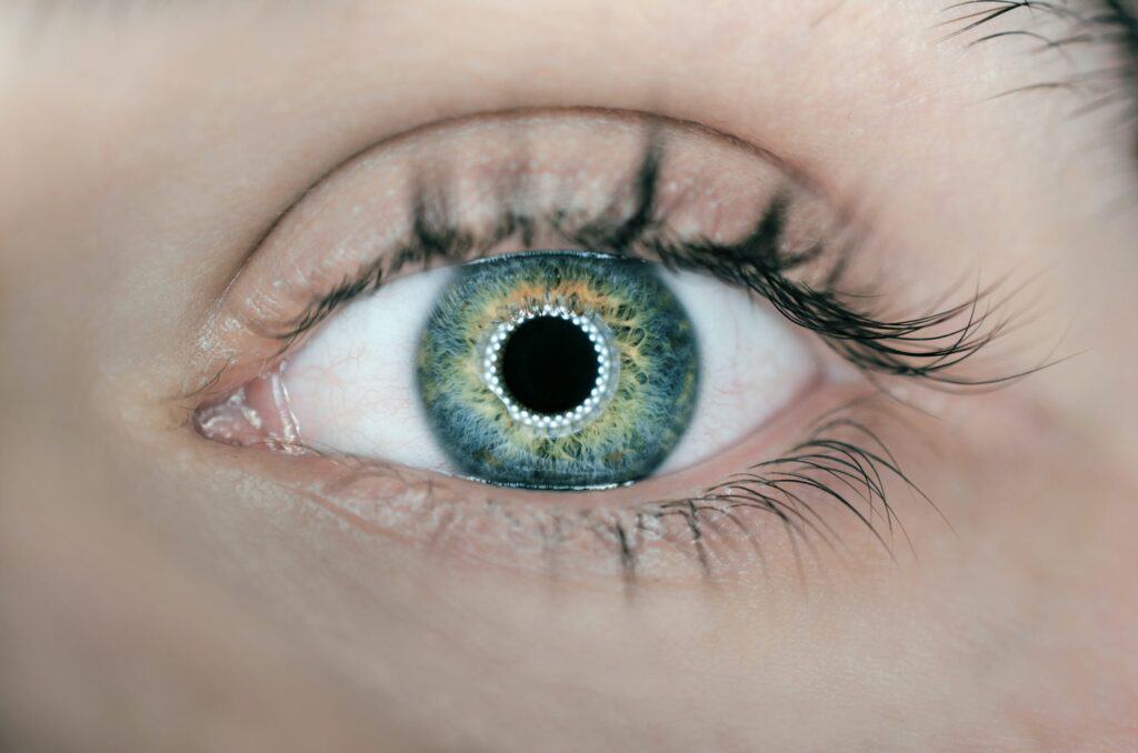 Eye Lashes